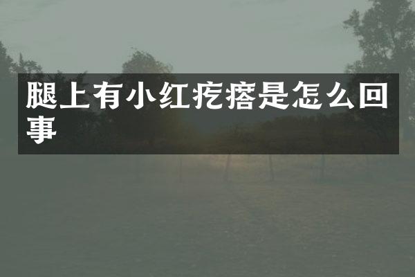 腿上有小红疙瘩是怎么回事