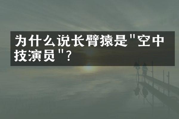 为什么说长臂猿是"空中杂技演员"？