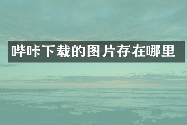 哔咔下载的图片存在哪里