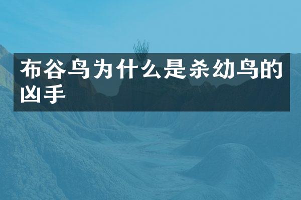 布谷鸟为什么是杀幼鸟的凶手