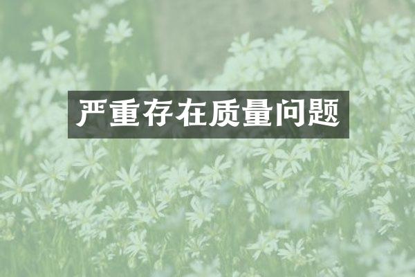 严重存在质量问题