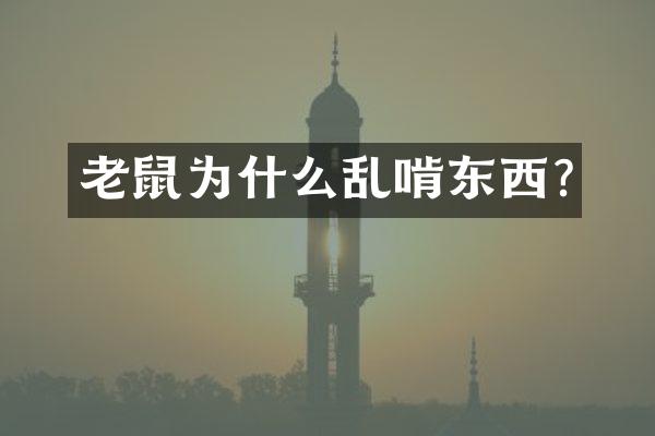 老鼠为什么乱啃东西?