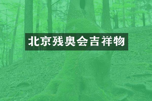 北京残奥会吉祥物