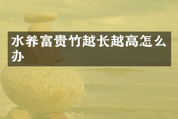 水养富贵竹越长越高怎么办