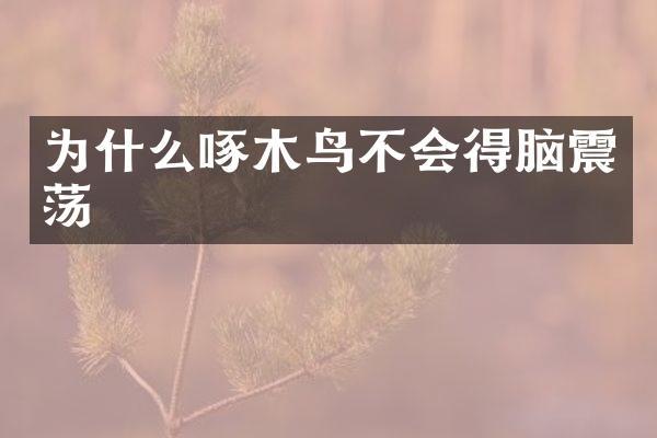 为什么啄木鸟不会得脑震荡