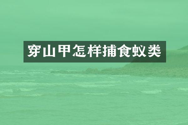 穿山甲怎样捕食蚁类
