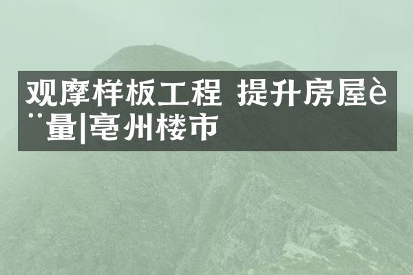 观摩样板工程 提升房屋质量|亳州楼市