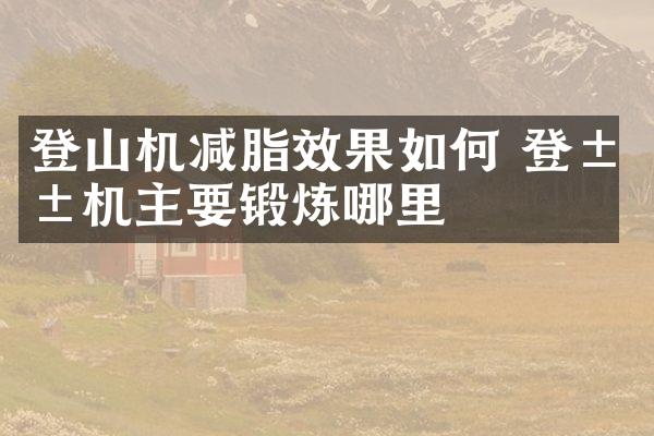 登山机减脂效果如何 登山机主要锻炼哪里