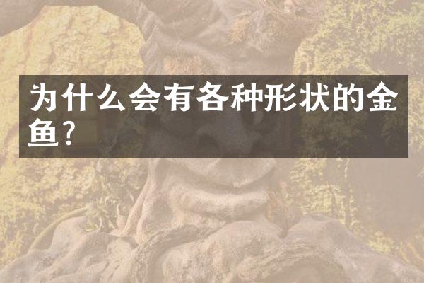 为什么会有各种形状的金鱼？