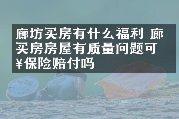 廊坊买房有什么福利 廊坊买房房屋有质量问题可以保险赔付吗