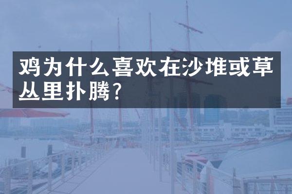 鸡为什么喜欢在沙堆或草丛里扑腾?