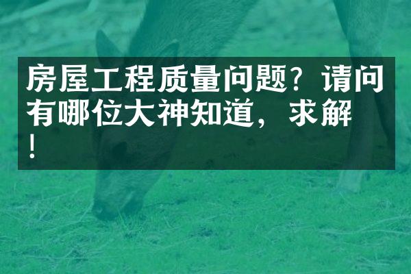 房屋工程质量问题？请问有哪位大神知道，求解答！