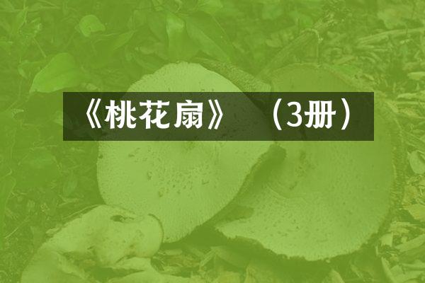 《桃花扇》 （3册）