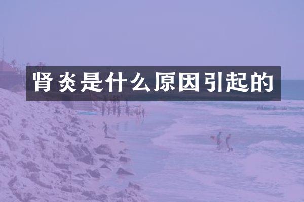 肾炎是什么原因引起的