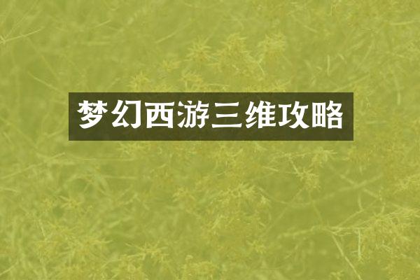梦幻西游三维攻略