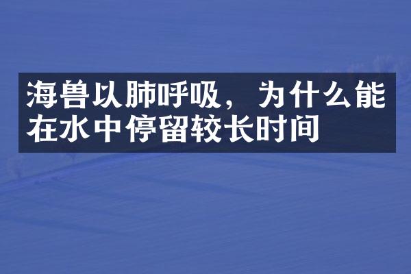 海兽以肺呼吸，为什么能在水中停留较长时间