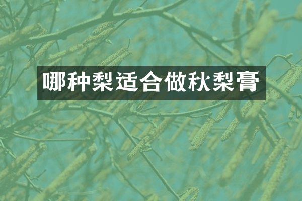 哪种梨适合做秋梨膏