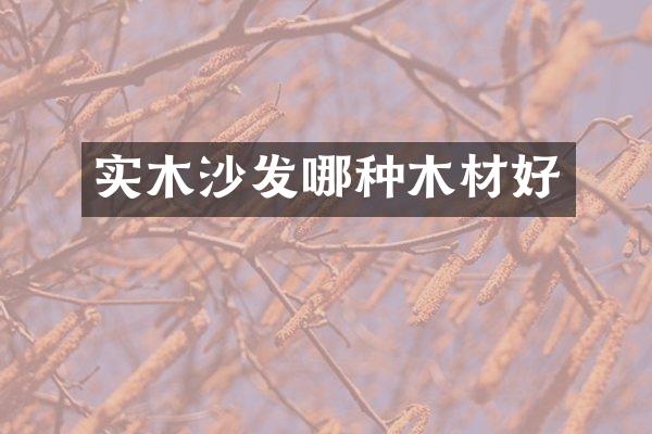 实木沙发哪种木材好