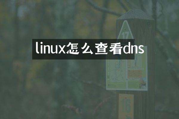 linux怎么查看dns