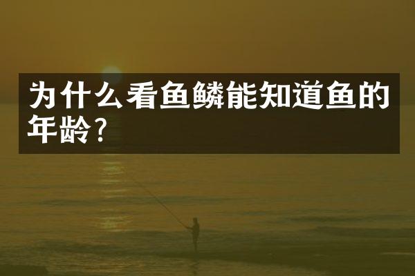 为什么看鱼鳞能知道鱼的年龄?