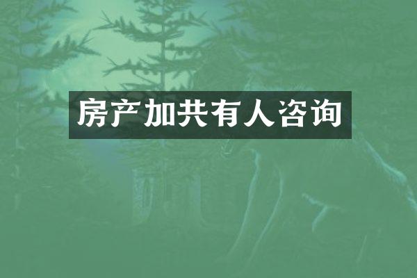 房产加共有人咨询