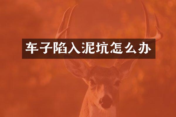 车子陷入泥坑怎么办