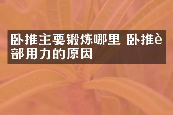 卧推主要锻炼哪里 卧推背部用力的原因