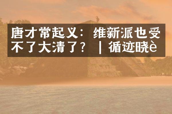 唐才常起义：维新派也受不了大清了？ | 循迹晓讲