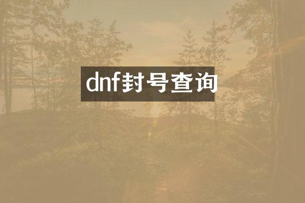 dnf封号查询