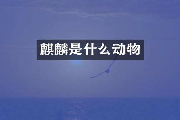 麒麟是什么动物