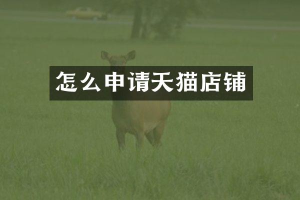怎么申请天猫店铺