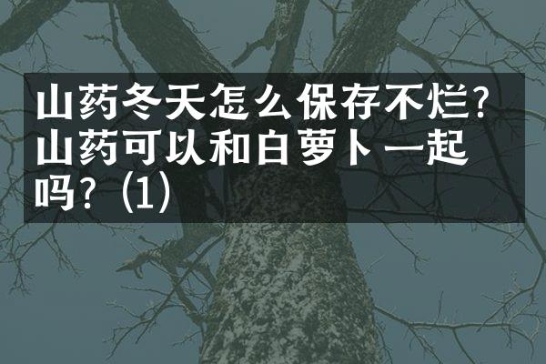 山药冬天怎么保存不烂？山药可以和白萝卜一起吃吗？(1)