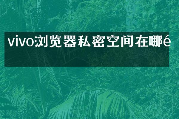 vivo浏览器私密空间在哪里