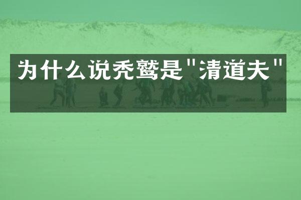 为什么说秃鹫是"清道夫"？
