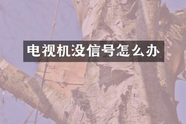 电视机没信号怎么办