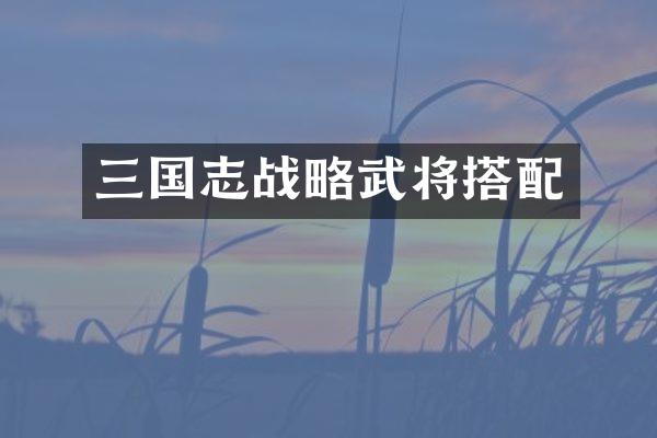 三国志战略武将搭配
