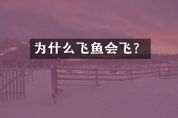 为什么飞鱼会飞？