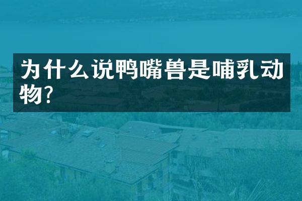 为什么说鸭嘴兽是哺乳动物?