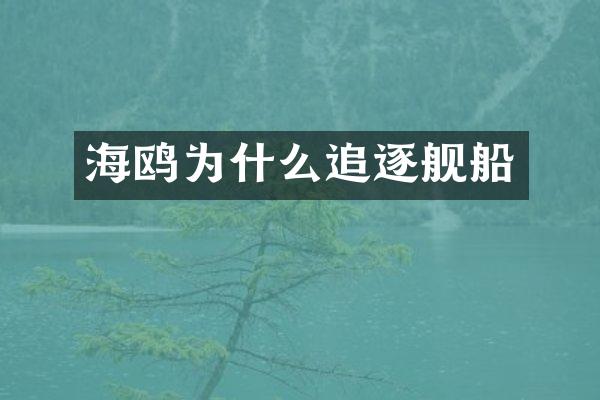 海鸥为什么追逐舰船