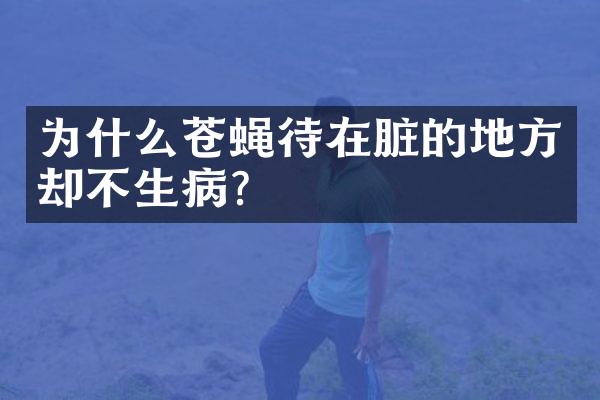 为什么苍蝇待在脏的地方却不生病？
