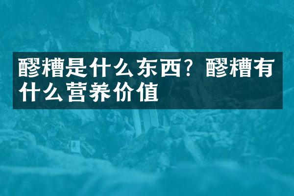 醪糟是什么东西？醪糟有什么营养价值