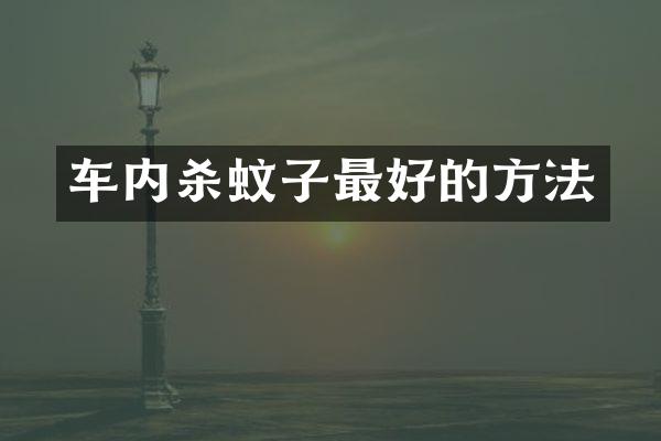 车内杀蚊子最好的方法