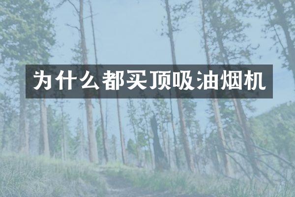 为什么都买顶吸油烟机