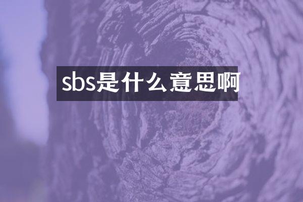 sbs是什么意思啊