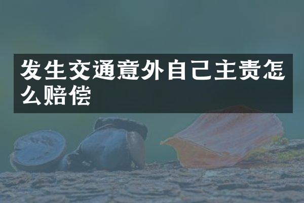 发生交通意外自己主责怎么赔偿