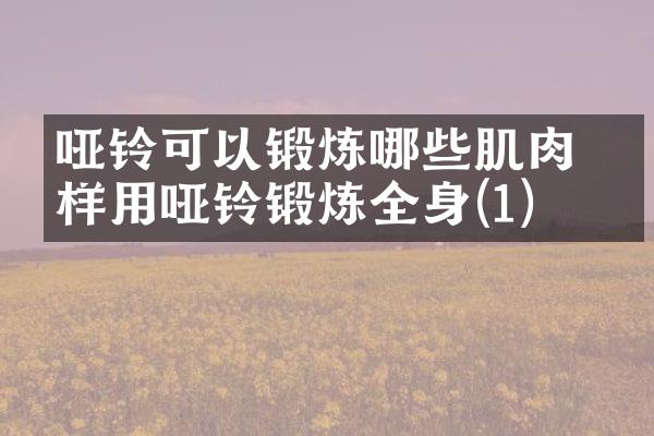 哑铃可以锻炼哪些肌肉 怎样用哑铃锻炼全身(1)