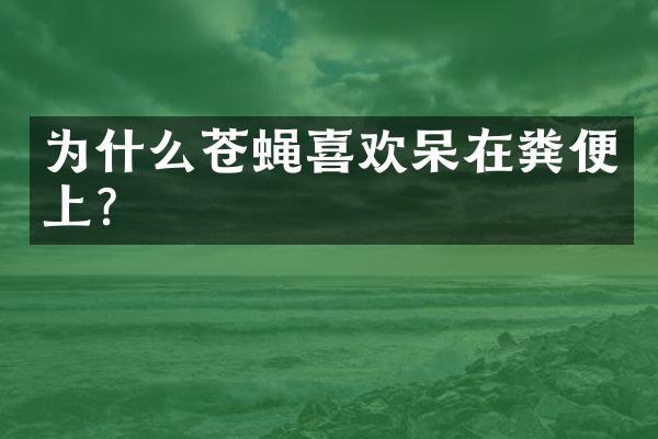 为什么苍蝇喜欢呆在粪便上?
