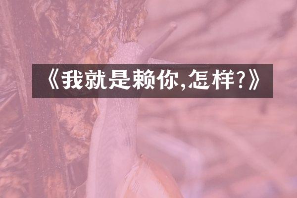 《我就是赖你,怎样?》