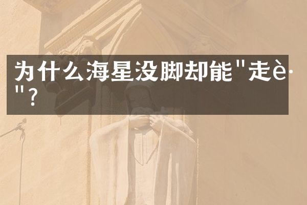 为什么海星没脚却能"走路"？