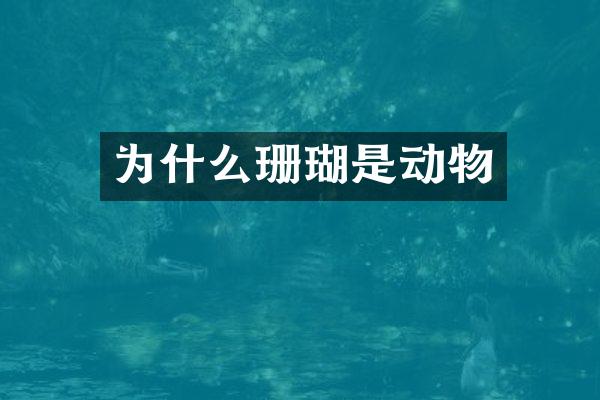 为什么珊瑚是动物